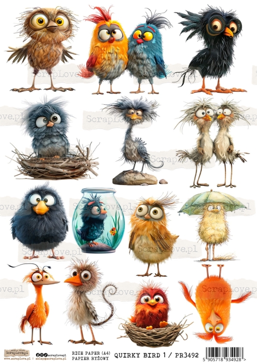 PR QUIRKY BIRD 1-1.jpg