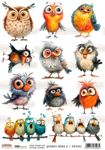 PR QUIRKY BIRD 2-1.jpg