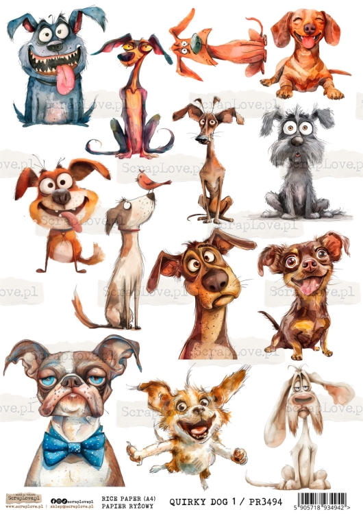 PR QUIRKY DOG 1-1.jpg